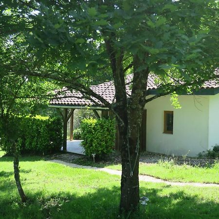 Le Verger Gites Castelnau D'Auzan Ngoại thất bức ảnh